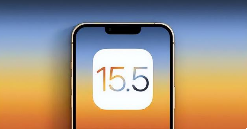 鄂温克苹果手机维修分享iOS15.5 RC版升级建议 