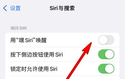 鄂温克苹果13维修分享iPhone 13怎么唤醒 Siri  