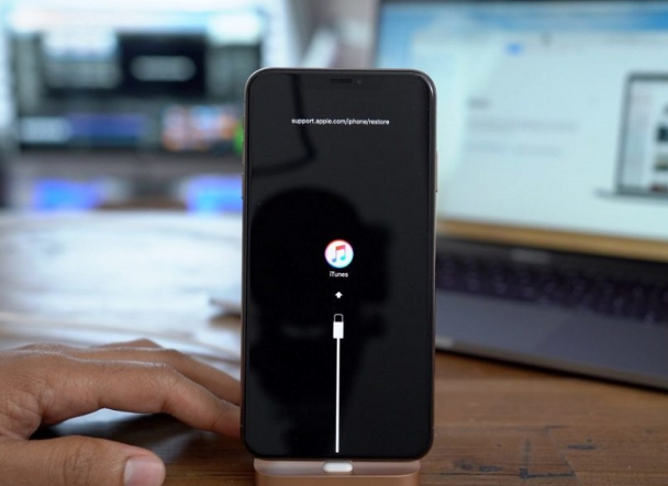 鄂温克苹果手机维修分享iPhone12进DFU教程 